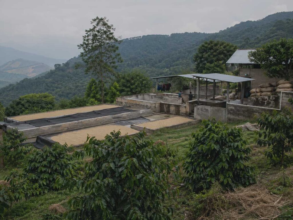 Yunnan mountain coffee farm and small washing station in China, recorded as a coffee origin for sourcing and sample discussion