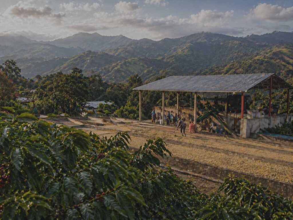 Mountain coffee farm and smallholder processing area in Huila, Colombia, recorded as a South America coffee origin file