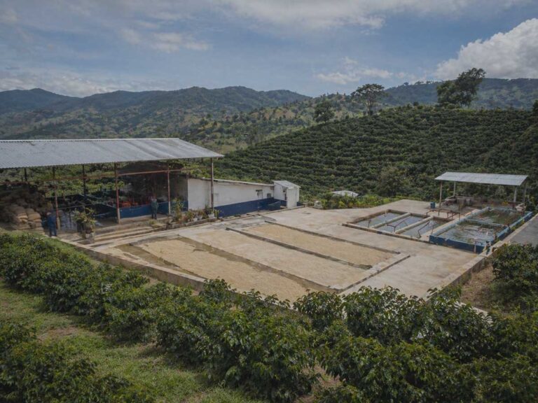 Organized highland coffee farm and wet mill in Tarrazú, Costa Rica, showing Central America washed coffee production context