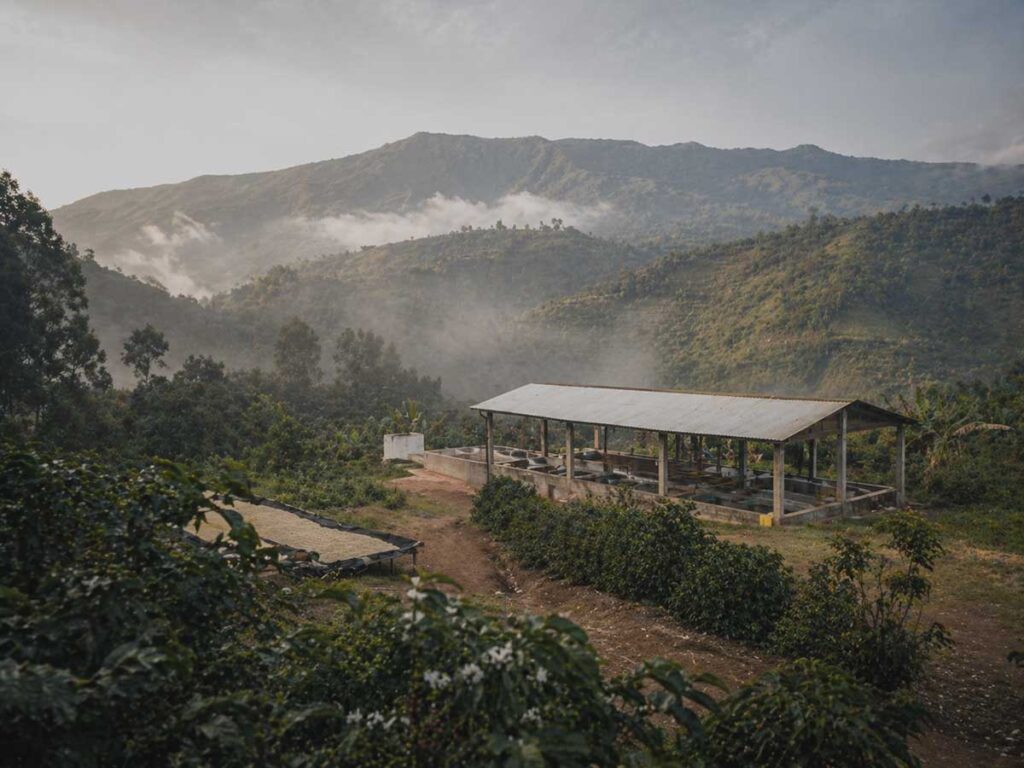 Highland coffee farm and washing station landscape in Gedeb, Ethiopia, recorded as an origin file for Wayfarer Cafe