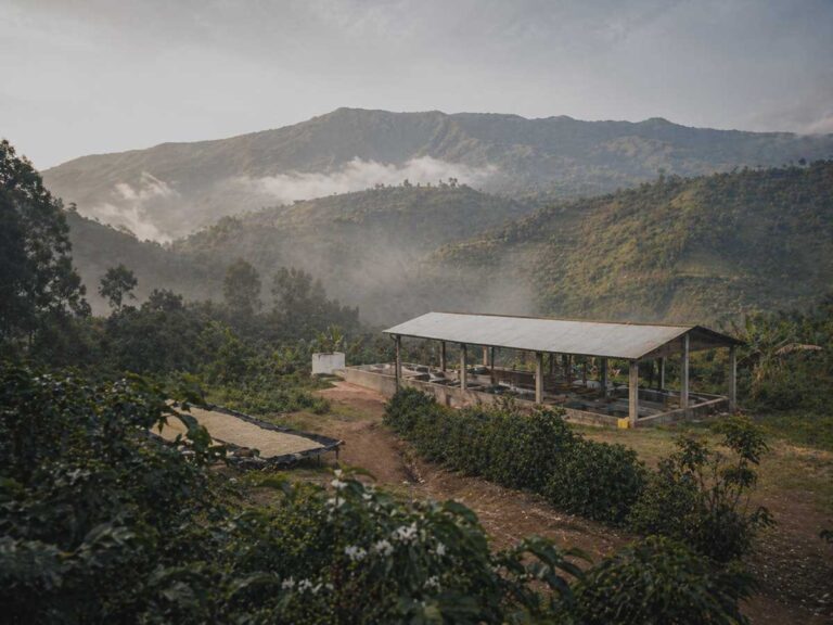 Highland coffee farm and washing station landscape in Gedeb, Ethiopia, recorded as an origin file for Wayfarer Cafe