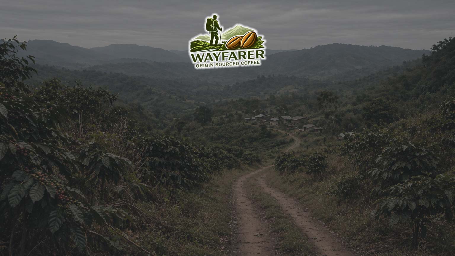Mountain road through a coffee-growing landscape, reflecting WAYFARER’s coffee sourcing project