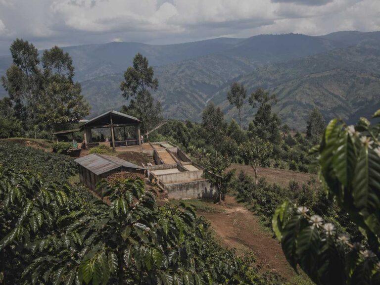 Mountain coffee farm and cooperative processing area in Kerinci, Indonesia, surrounded by dense tropical highland vegetation