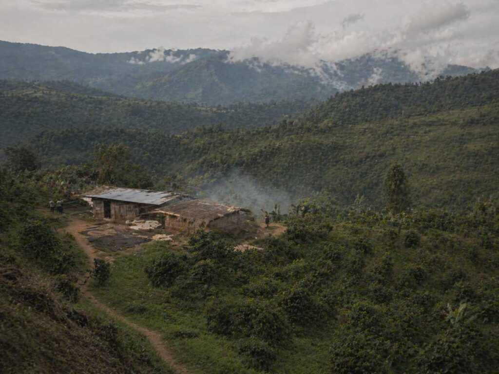 Remote highland coffee farm and processing area in Papua New Guinea, showing smallholder production and mountain origin context