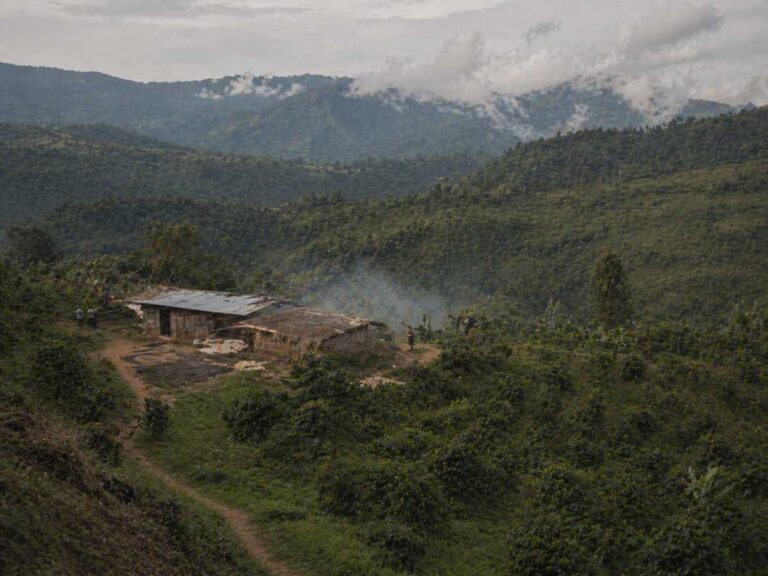 Remote highland coffee farm and processing area in Papua New Guinea, showing smallholder production and mountain origin context